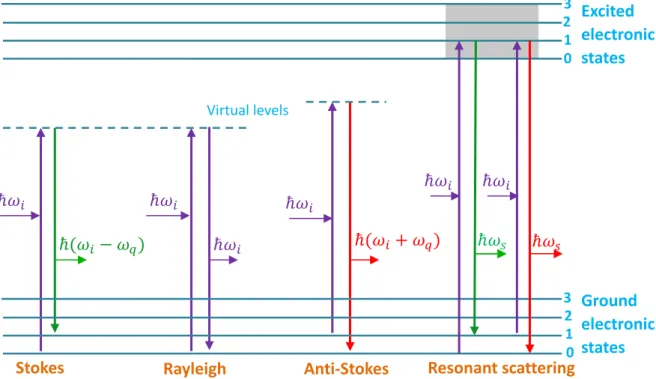Figure 1.5. Quantum model of non resonance Raman scattering  and resonance Raman scattering 
