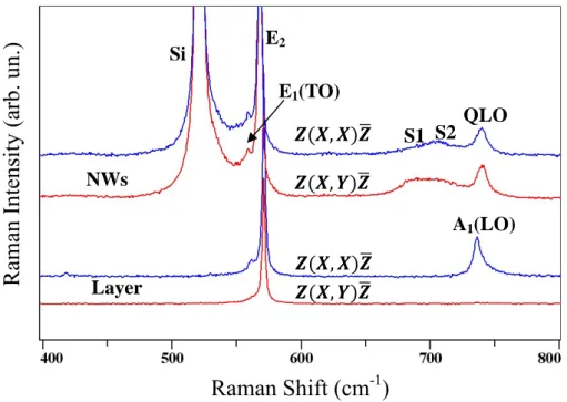 Figure 3.4 Raman spectra of GaN NWs and a GaN thin layer recorded using 488nm excitation