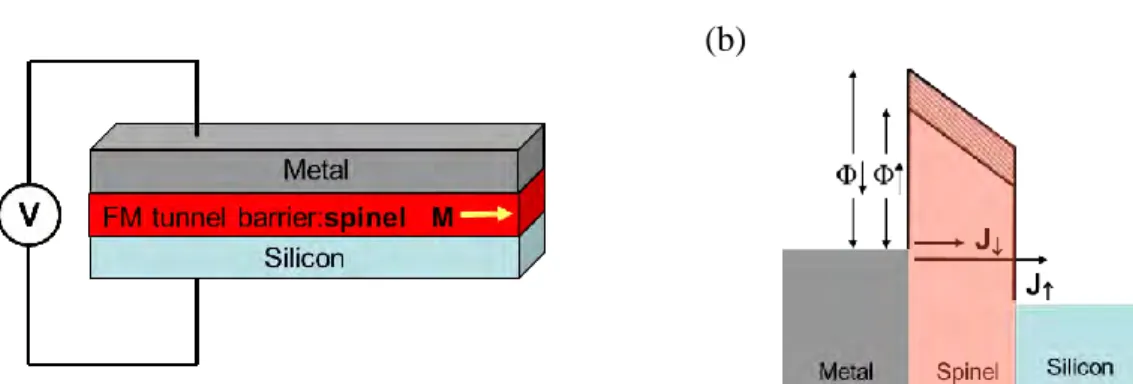 Figure I.5:  Sketch of a spin filter device,  where  CoFe 2 O 4  is used as active tunnel barrier  (a), and of the spin  injection in silicon through the spinel barrier (b).