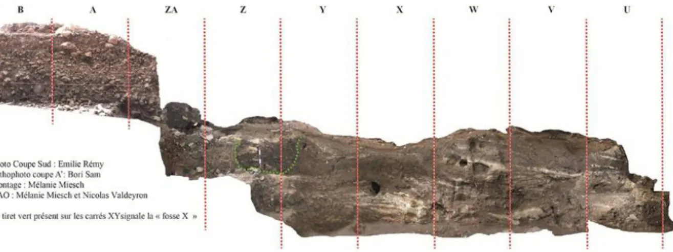 Figure 2. Relevé en coupe des couches stratigraphiques du Cuzoul de Gramat.