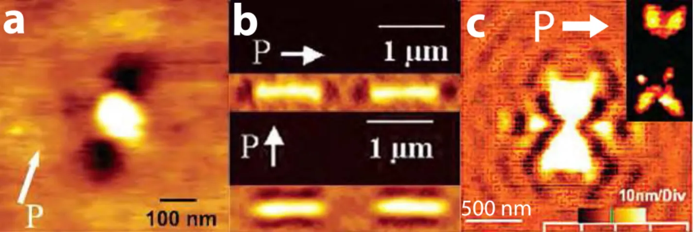 Figure II.10 – Images AFM de photomigration au voisinage de sphères d’argent (a), d’ellipsoides d’or (b) et de dimères de triangles d’argent (c)