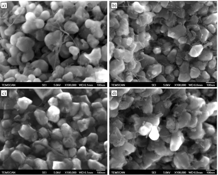 Figure I-22 : Images de MEB des surfaces de rupture de 0,5Fe-A E  : matériau cru pré-compacté sous 200 MPa (a), échantillon 
