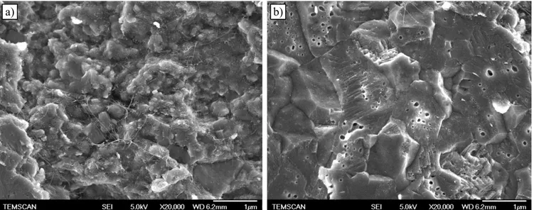 Figure I-28 : Images de MEB des surfaces de rupture de 1Fe-G E  fritté à haute température et sous 150 MPa