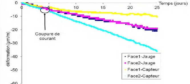 Figure II-12 : Comparaison jauge-capteur pour la mesure de retrait endogène – Eprouvette 2 