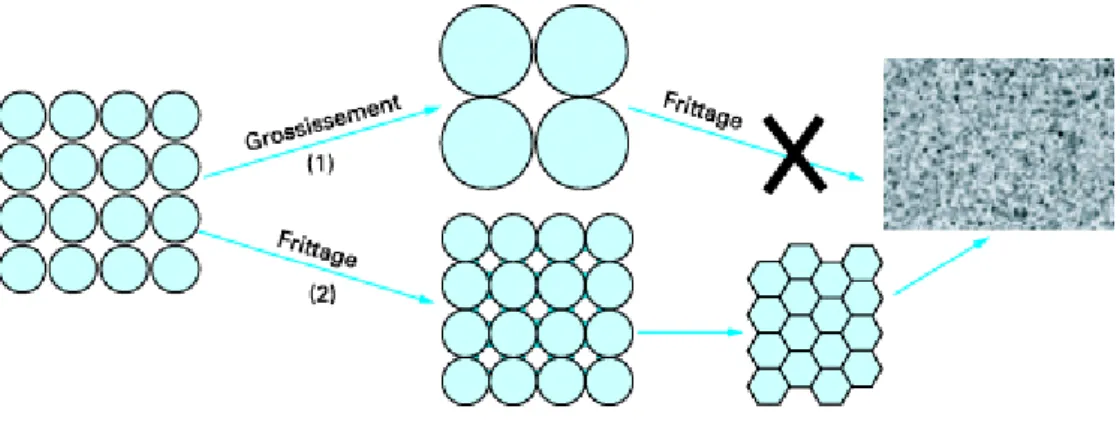 Figure I.2 : Les mécanismes de frittage : Croissance de grains et frittage. 8