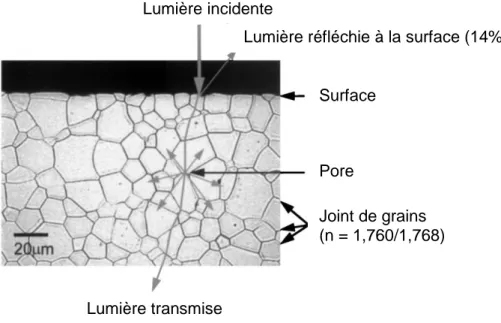 Figure I.10 : Les différents mécanismes de diffusion de la lumière dans une alumine  polycristalline