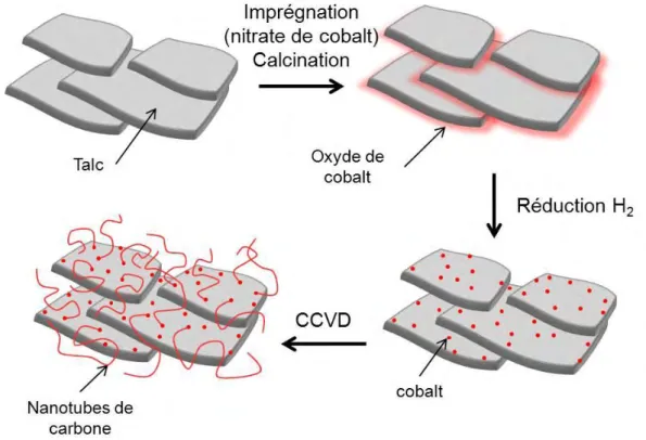 Figure III.12 : Croissance des nanotubes de carbone à la surface du talc 