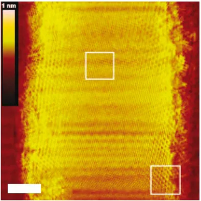 Figure 1.9. STM image of a 15-nm-wide GNR etched by local anodic oxidation. Scale bar: 2 nm