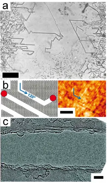 Figure 1.11. (a) Optical image of straight trenches formed by catalytic hydrogenation of graphite