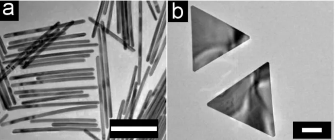 Figure 3.6. TEM images of (a) gold nanorods and (b) Au nanoplatelets. Scale bar are 200 nm