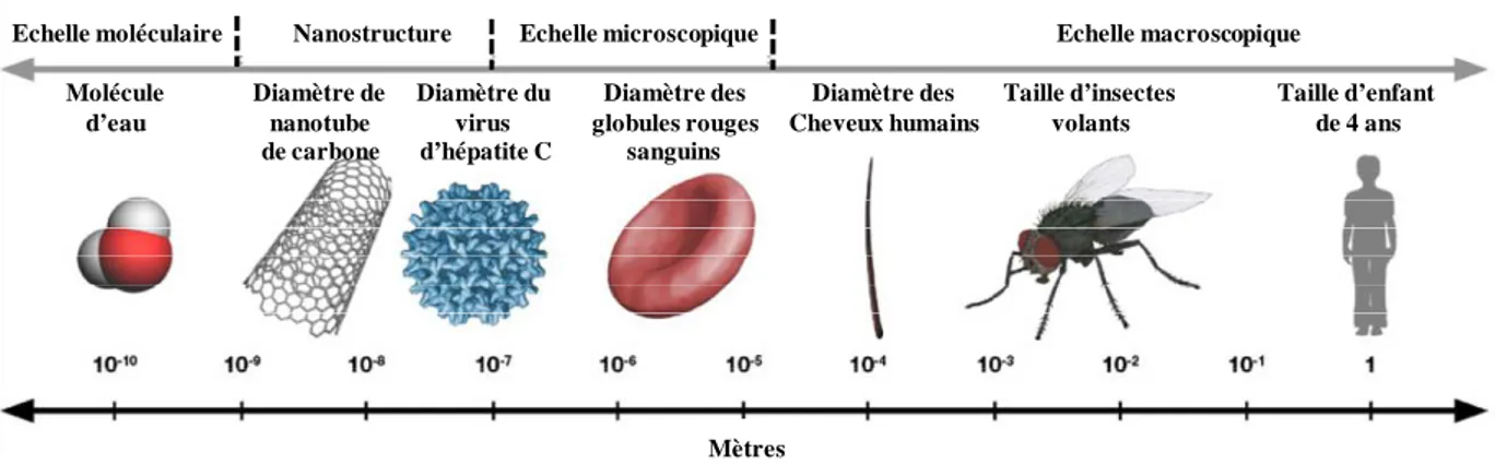 Figure I.1: Gamme de tailles des nanostructures comparée à celles des principaux objets  connus