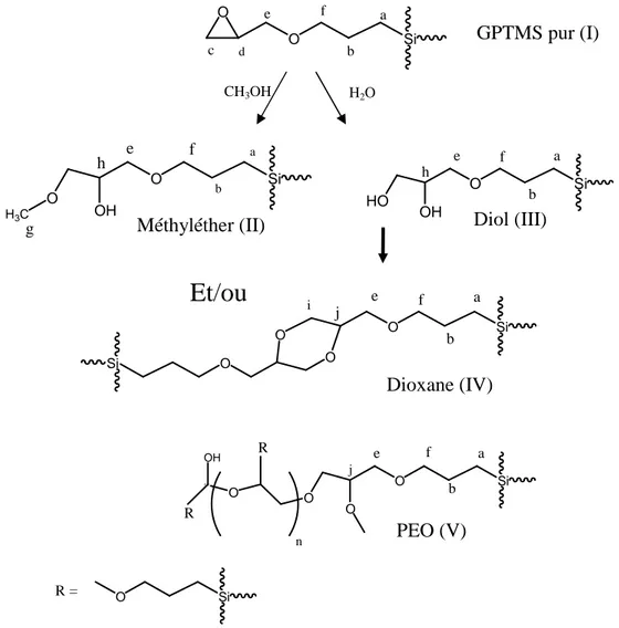 Figure III. 9 -Réactions impliquant l’ouverture du cycle époxyde du GPTMS                                                   
