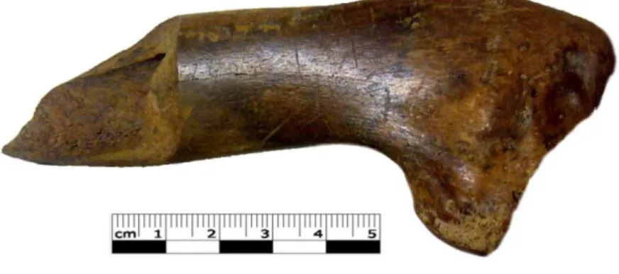 Figure 2.8 : Exemple de coloration des restes. 