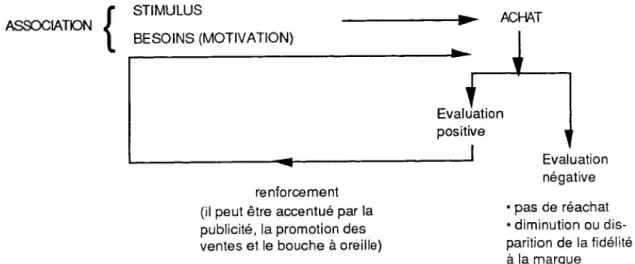 Graphique 6 : Schéma de l'apprentissage en termes de marketing (d’après Engel 1968)