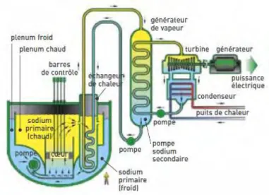 Figure I.1 : Illustration du concept de Réacteur à Neutrons Rapides refroidi au sodium [4] 