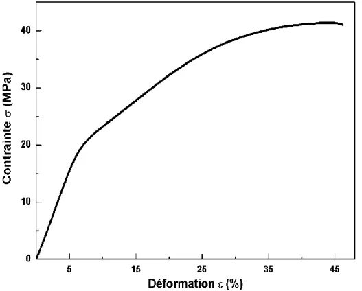 Figure 17 : Courbe contrainte-déformation du polyamide 11 extrudé obtenue à température ambiante