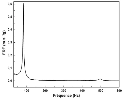 Figure 20 : Fonction de réponse en fréquence d'un échantillon massif de polyamide 11 