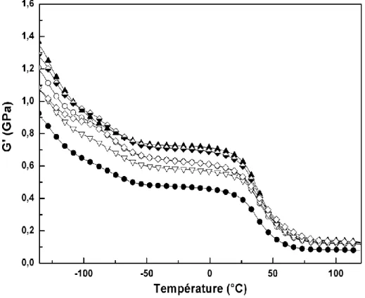Figure 30 : Module conservatif G' des composites PA 11/NTC chargés à 0 % vol. (), 0,18 % vol