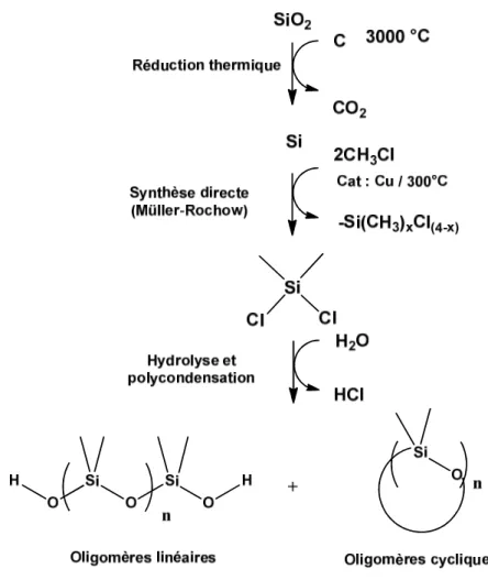 Figure 13 : Étapes de synthèses d’oligosiloxanes linéaires et cycliques à partir de silice 