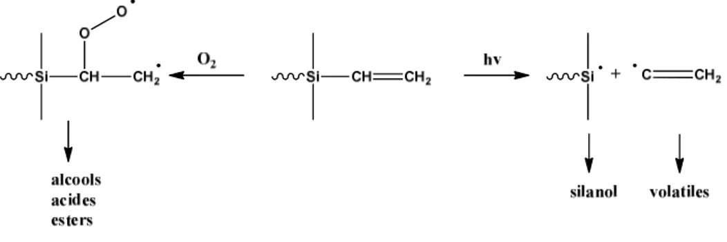 Figure 23 : Mécanisme de photo-oxydation de polysiloxanes fonctionnalisés Si-Vinyle 