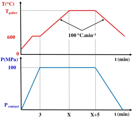 Figure II.4 : Cycle de frittage SPS en température et en pression 