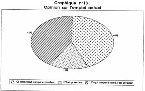Graphique n°13 : Opinion sur l’emploi actuel