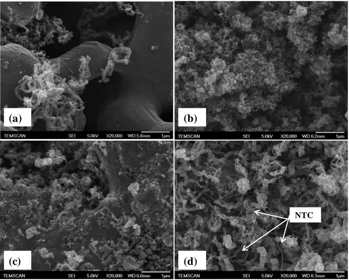 Figure II.19 Images de MEB-FEG typiques de poudres xCoR préparées par réduction à 700°C :   1CoR (a), 2CoR (b), 5CoR (c) et 10CoR (d)