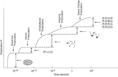 Figure II.2: Contribution des différents types de polarisation en fonction de la période du champ appliqué [Kao- [Kao-04]