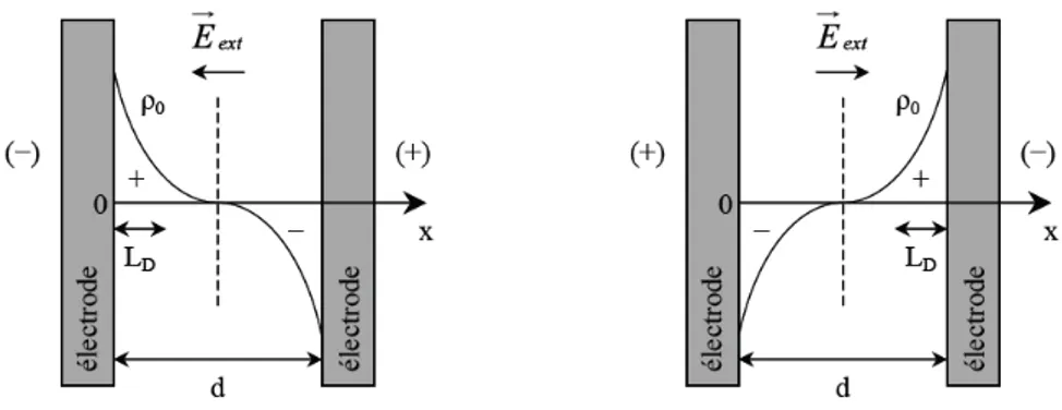 Figure  II.4  représente de manière schématique les charges d’espace accumulées qui forment 