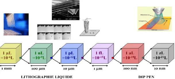Figure 1.8 - Illustration des différentes échelles de dépôt de liquide. Adapté de [40]