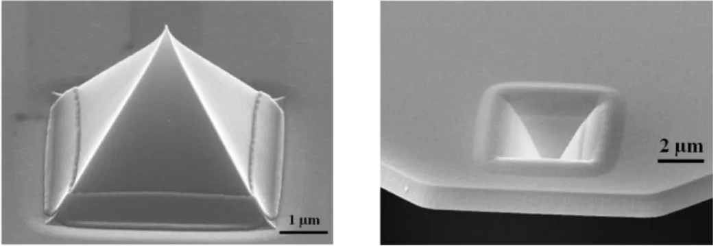 Figure 2.2 – images MEB des pointes OMCL-RC800RP avant modification. 