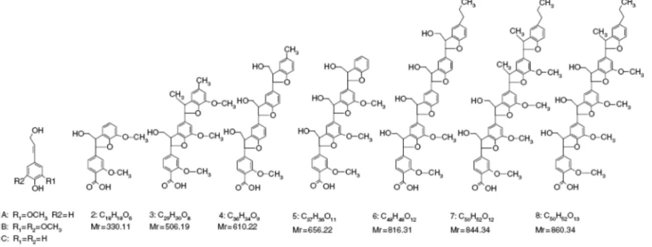 Figure I-8 : Structure chimique de différents fragments de la lignine de paille de blé