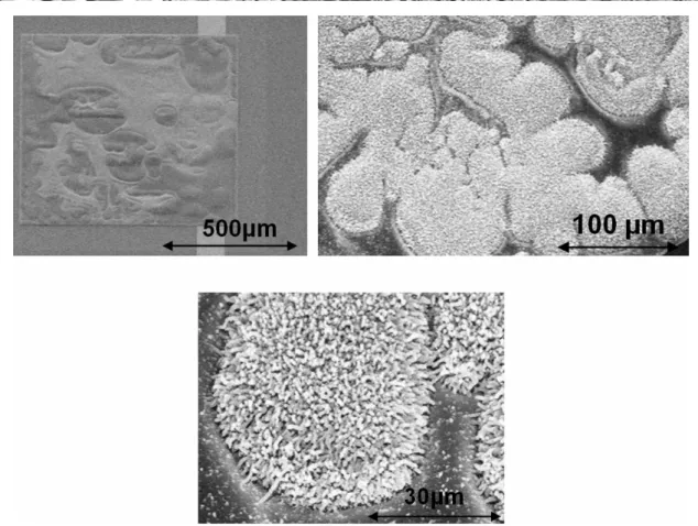 Figure 36 : Echantillon de 1mm 2  de nanofils d’Al/CuO. Observation MEB à différents grossissements 