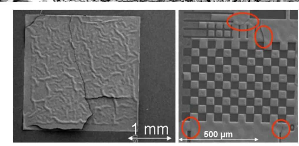 Figure 37. Observation de fissurations de la couche mince de CuO. (a) : échantillon de 4mm 2  de nanofils de CuO