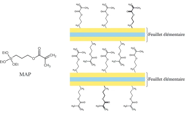 Figure I.15 : Formule développée du MAP et Structure du phyllosilicate de type talc 