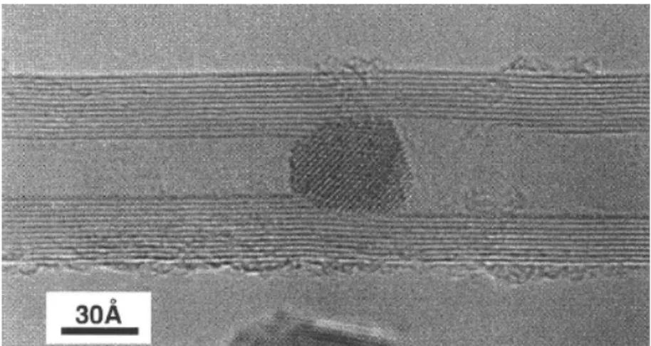 Fig. I.28 : HRTEM of MWNT one-step filled with FeBiO 3  crystallite [73]. 