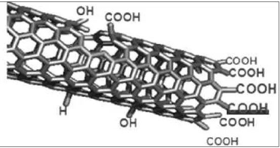 Figure 4.6 Schematic representation of the CNT structure after an oxidation process. 