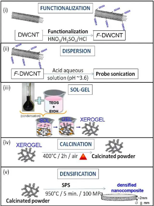 Figure  5.2  Schematic  diagram  of  the  steps  for  the  preparation  of  3D  CNTNs  using  F-DWCNTs  embedded in silica matrix SiO 2 : (i) functionalization of DWCNTs; (ii) dispersion of the F-DWCNTs into  acid  aqueous  solution  with  the  aid  of  pr
