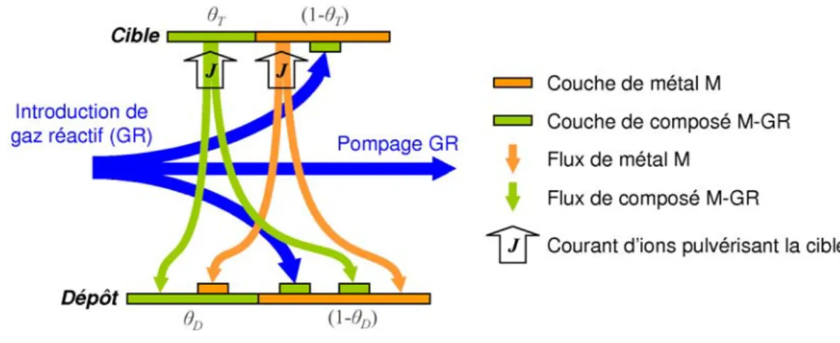 Fig. 4.10 – Schéma des flux de matière considérés dans le modèle de Berg.