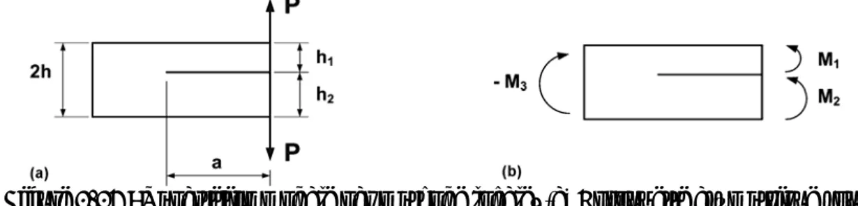 Figure 2-16 : Répartition modale par méthode locale. (a) Eprouvette asymétrique sous  chargement