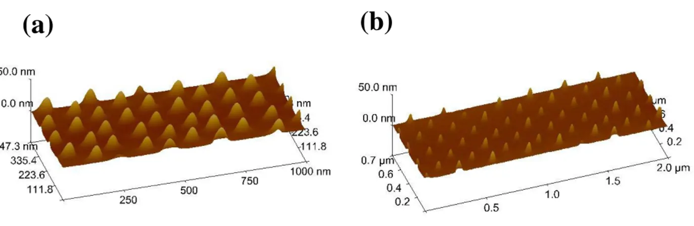 Figure 40: Plots obtenus dans le polymère,  champs de plots de 40nm de diamètre, 30nm de hauteur à un  pas de 100nm (a), champs de plots de 50nm de diamètre, 30 nm de hauteur à un pas de 250nm (b) 