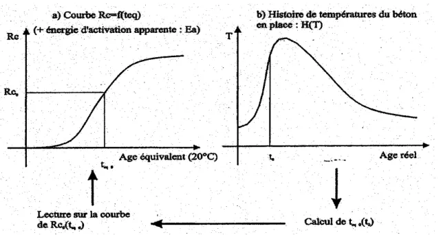 Figure I-6 : Illustration du principe d’utilisation de la méthode de maturométrie  [D’Aloia 2004] 