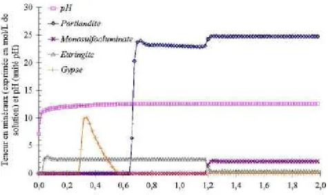 Figure I-15 : Profil des phases solides et du pH en fonction de la profondeur après 5  semaines d’attaque par de l’eau sulfatée [Planel 2002] 