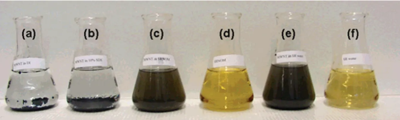 Figure  I.9 :  Comparaison  des  différentes  conditions  étudiées  par  Hyung  et  al.,  pour  une  concentration théorique de 500 mg/L de MWNT (a) dans une eau sans matière organique, (b)  dans  une  solution  de  SDS  à1%m,  (c)  dans  de  l’eau  recons