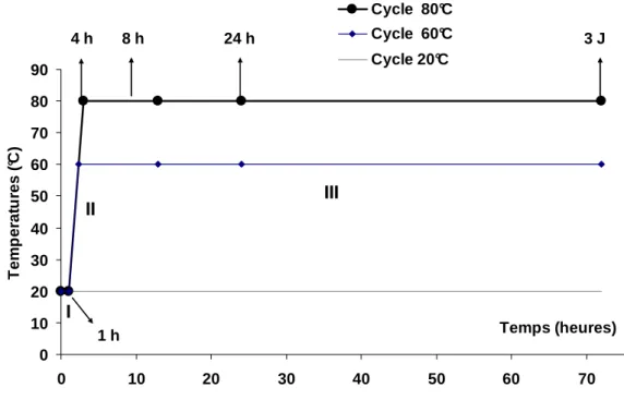 Figure II- 9 : Cycles thermiques utilisés pour les pâtes de ciment. 