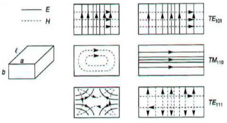 Fig 6. Ligne de champs de différents modes 