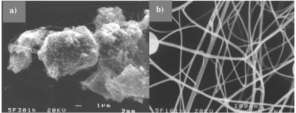 Figure 2.7 SEM image of a CNT-Fe-Al 2 O 3  nanocomposite powder (a); higher 