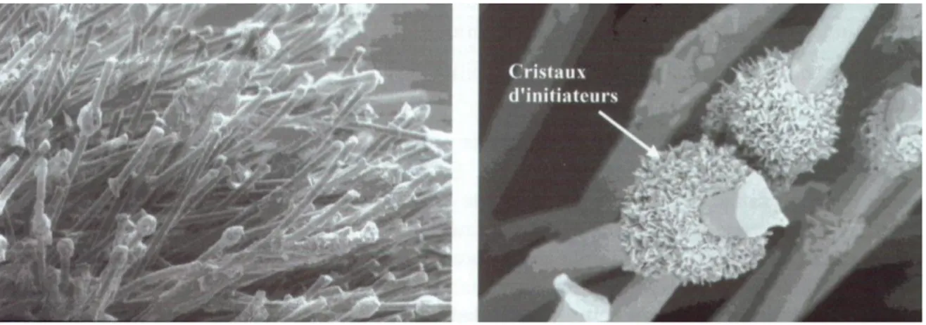 Figure 5: observation au MEB : les pinceaux applicateurs de l’Excite DSC sont imprégnés de  cristaux d’initiateurs (x100 à gauche,  x500 à droite) (photos Ivoclar Vivadent)