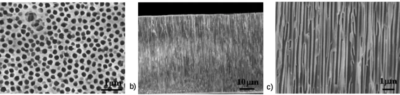 Figure III. 3 :  Photos MEB-FEG de la membrane nanoporeuse Anodisc vue de dessus (a) et 