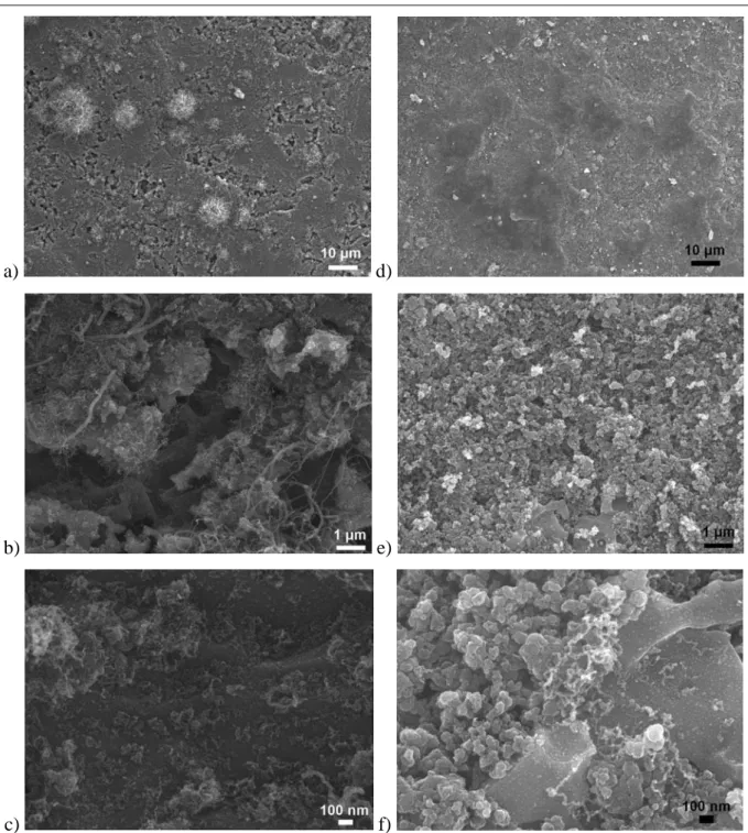 Figure III. 9 :  Photos MEB-FEG à différents grandissements de la surface des collecteurs de 